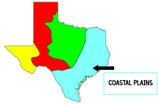 coastal plains region